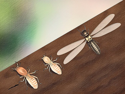 1608881382397274.png 3.1.png