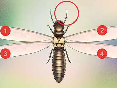 1608881316437417.png 2.1.png