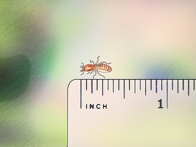 1608881409147805.png 4.1.png