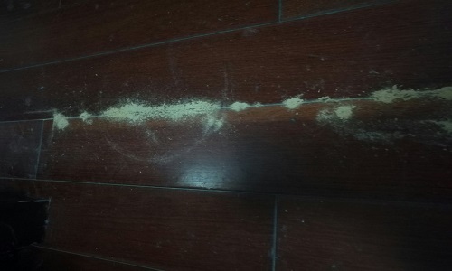 1599184343844207.jpg 上海滅白蟻