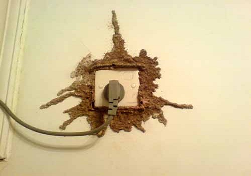 1599184343669276.jpg 上海滅白蟻