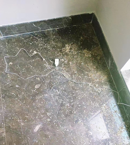 中山坦洲鎮(zhèn)上萬白蟻藏天花板 網(wǎng)友:密集恐