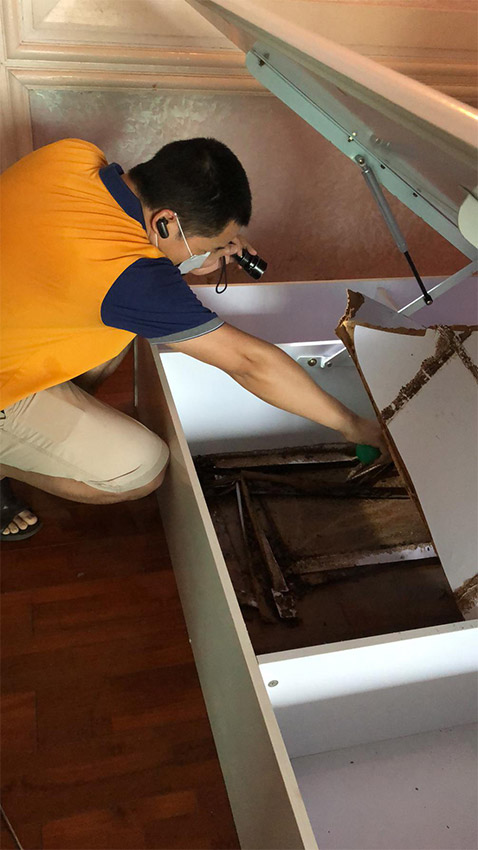 中山新房，中山二手樓，中山別墅裝修預防白