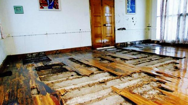 中山白蟻防治所電話，中山白蟻防治中心電話