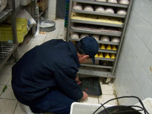 專(zhuān)業(yè)滅鼠公司