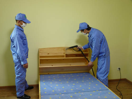 中山家里有跳蚤要怎么處理？中山專業(yè)殺蟲公