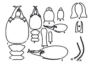 1581499223745867.png image.png