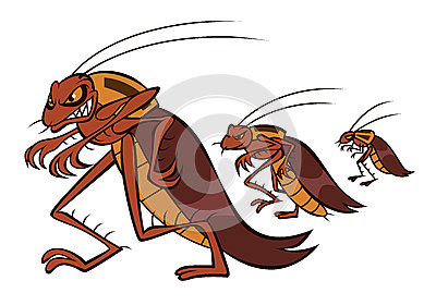 蟑螂超強(qiáng)的繁殖能力